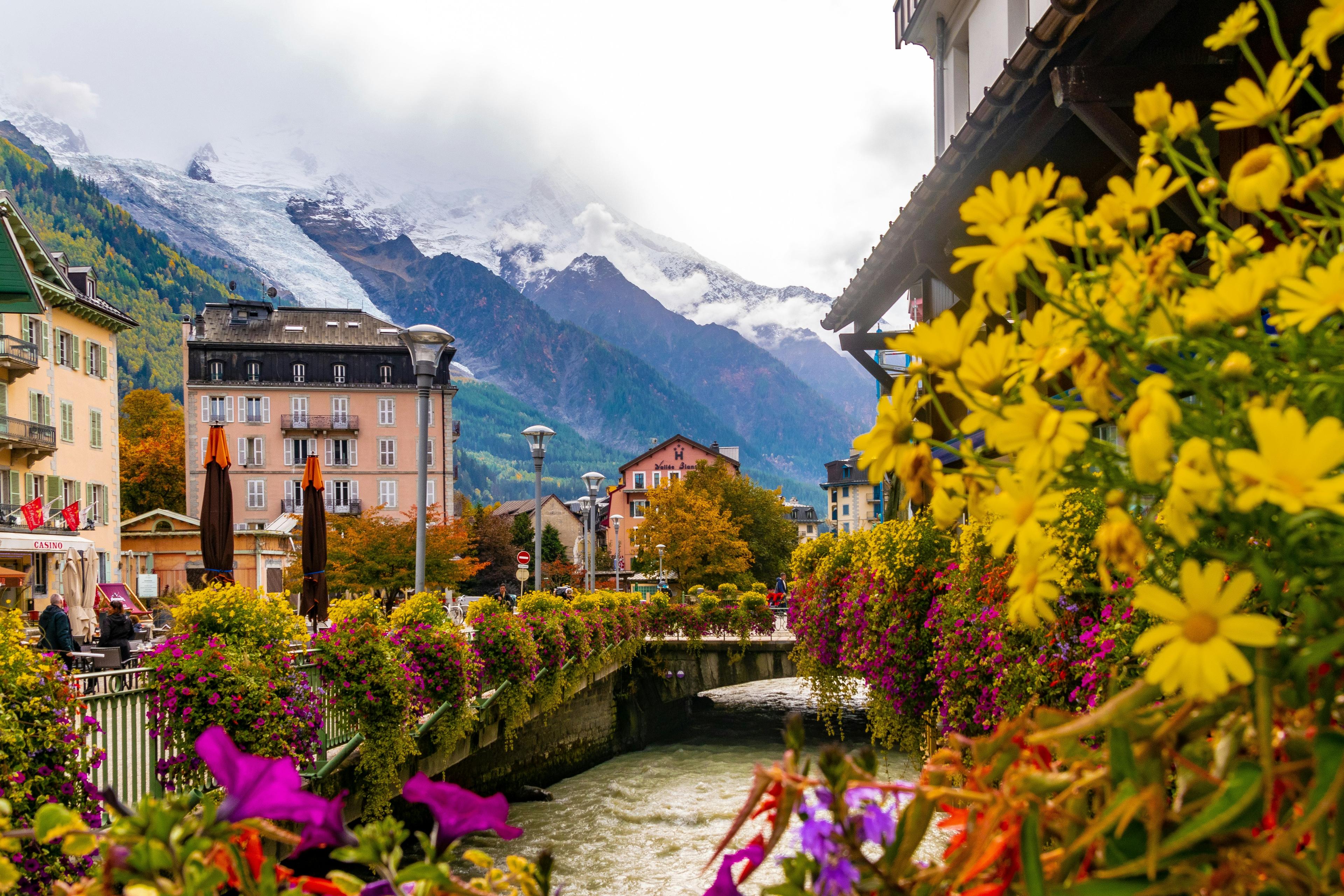 Chamonix-Flowery-Summer