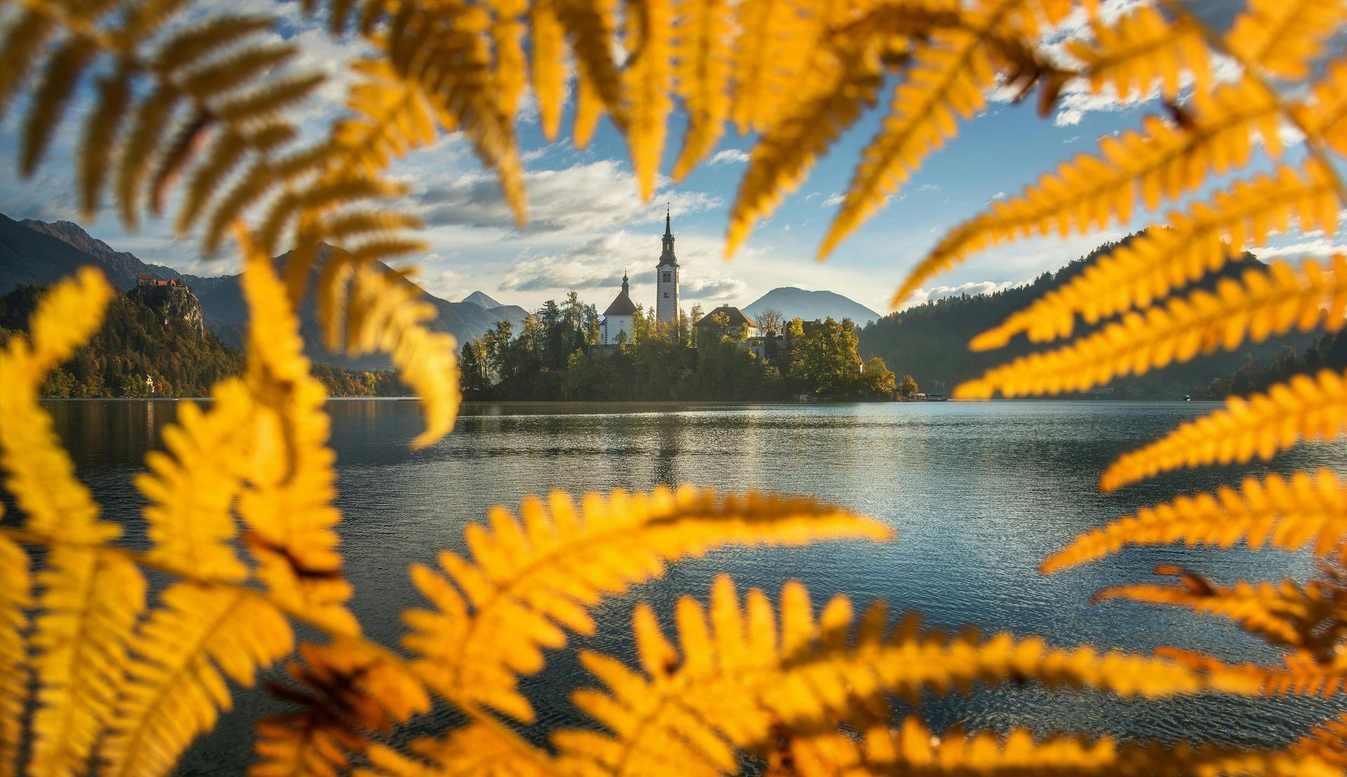 Lake-Bled-Through-Leaves